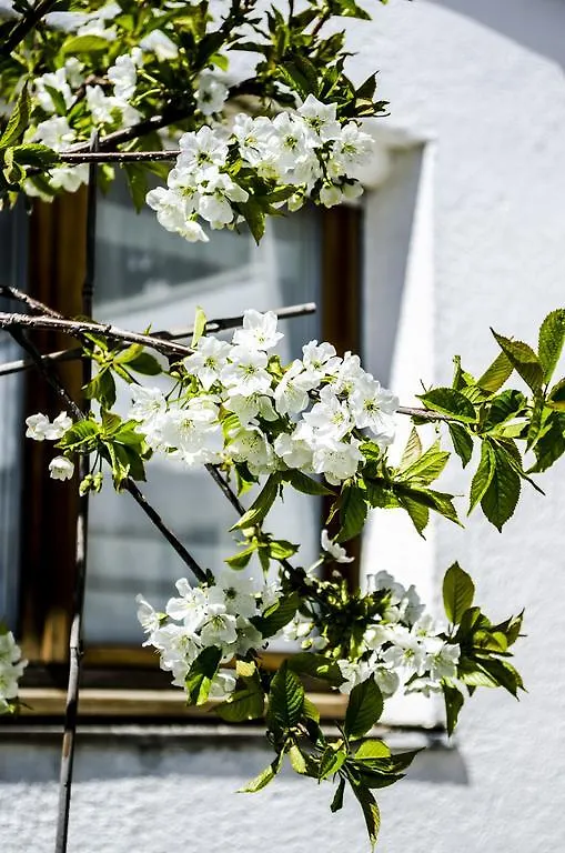 Birkenhaus Am Quell Hotel Bad Wiessee